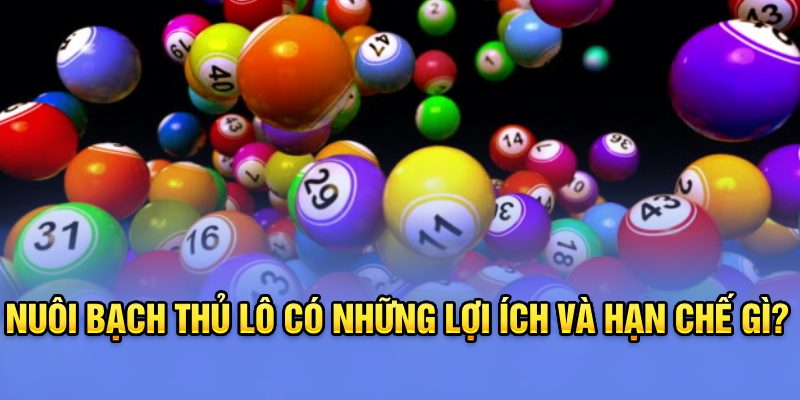 Nuôi bạch thủ lô có những lợi ích và hạn chế gì?